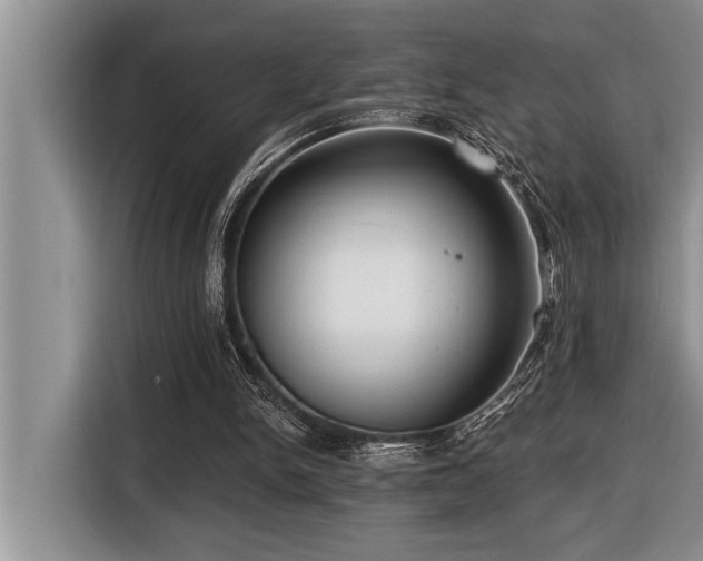 X0000116550150200912101421