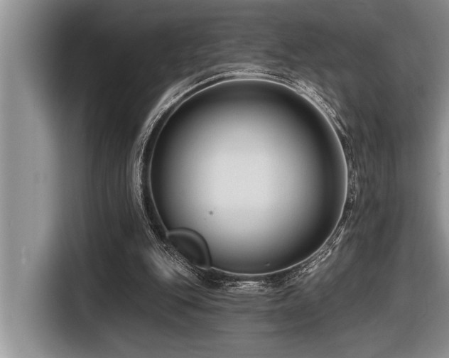 X0000116550151200912101421