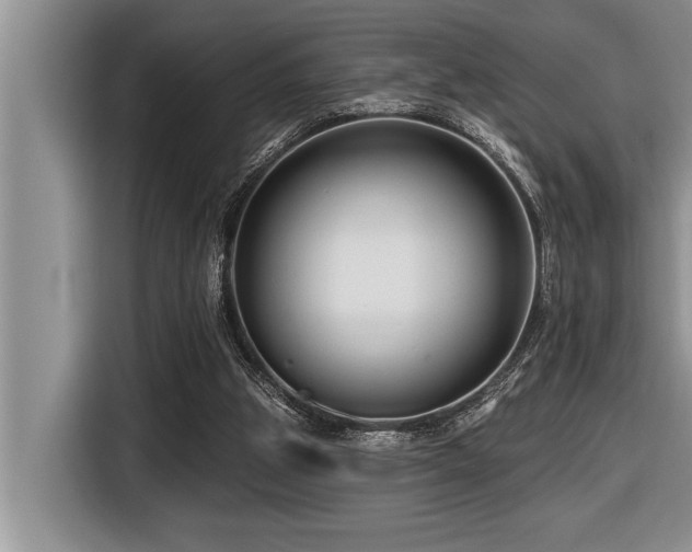 X0000116550153200912101421