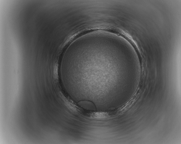 X0000116550154200912101421