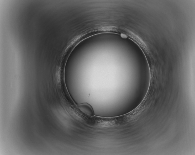 X0000116550155200912101421