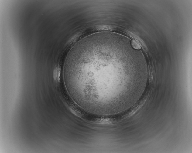 X0000116550157200912101421