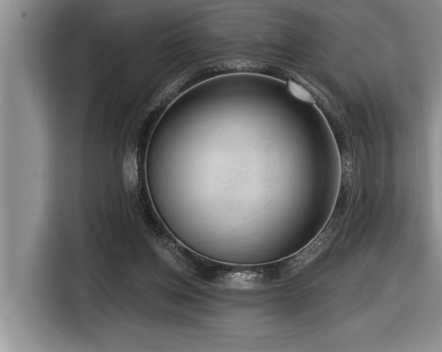 X0000116550158200912101421