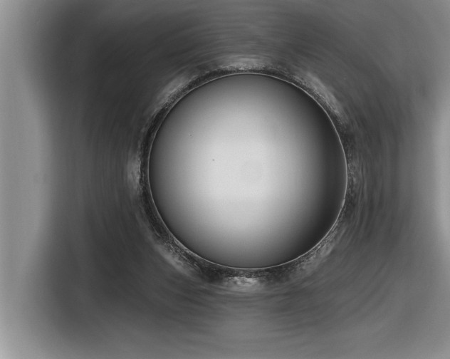 X0000116550159200912101421