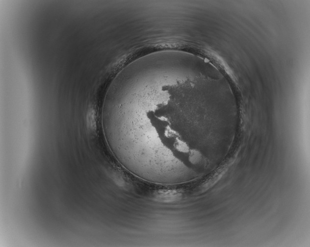 X0000116550161200912101421