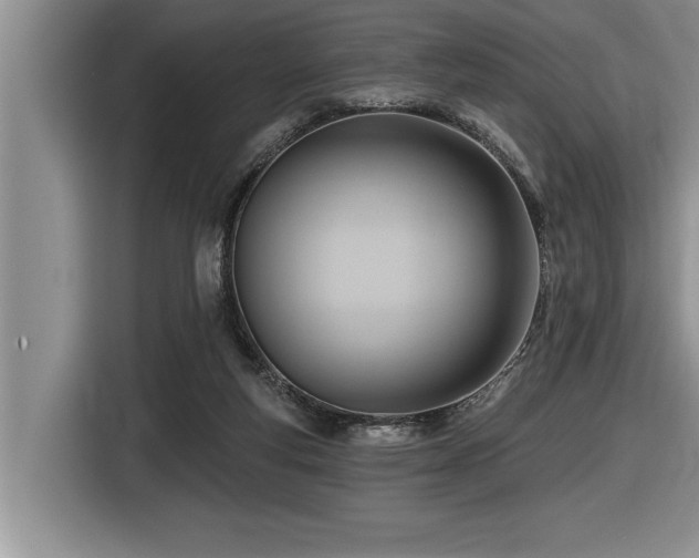 X0000116550163200912101421