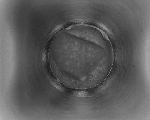 X0000116550165200912101421