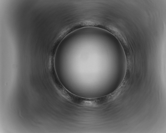 X0000116550167200912101421