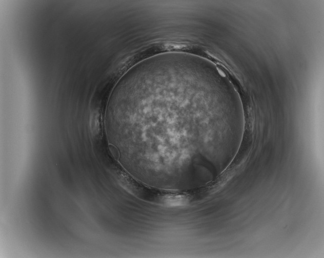 X0000116550169200912101421