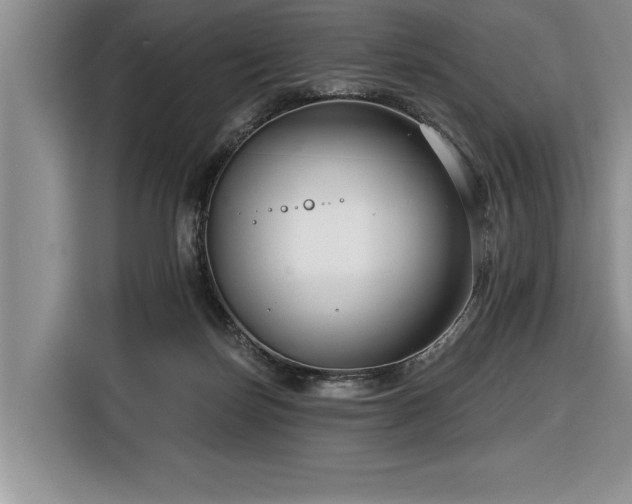 X0000116550171200912101421