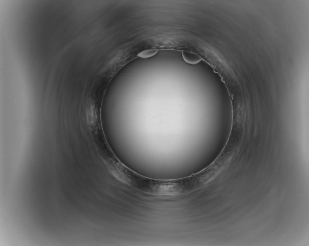 X0000116550173200912101421