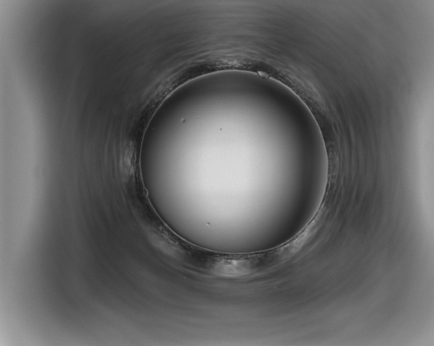 X0000116550174200912101421