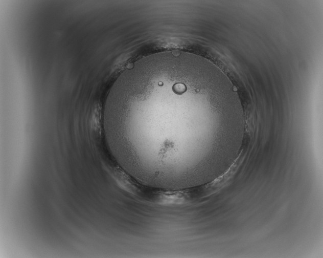 X0000116550175200912101421