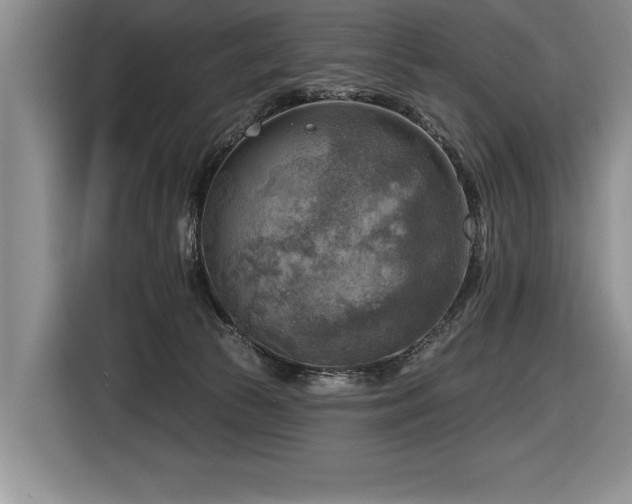 X0000116550177200912101421