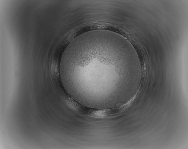 X0000116550178200912101421