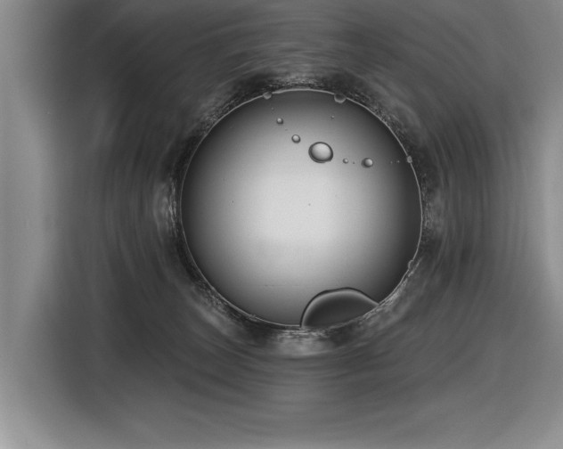 X0000116550179200912101421