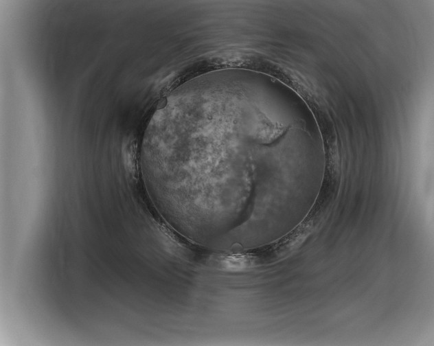 X0000116550181200912101421