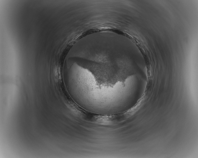 X0000116550182200912101421