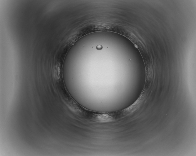 X0000116550183200912101421