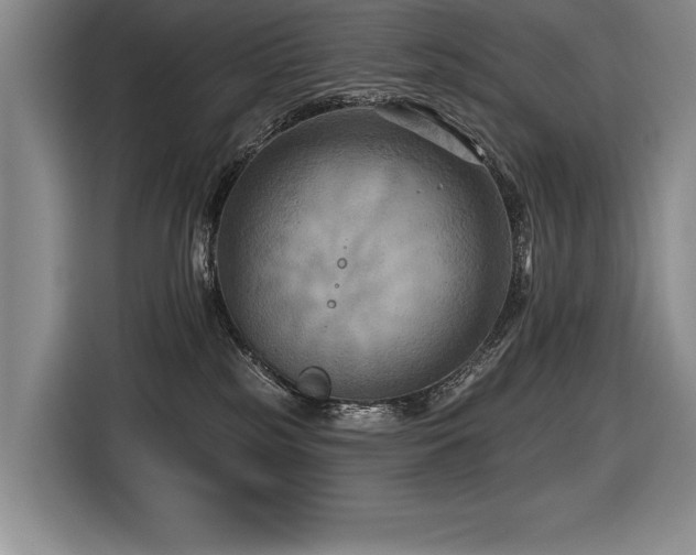 X0000116550185200912101421