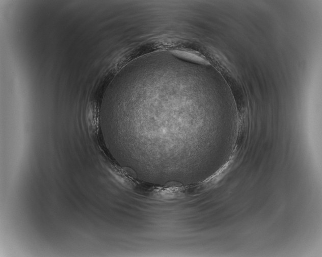 X0000116550186200912101421