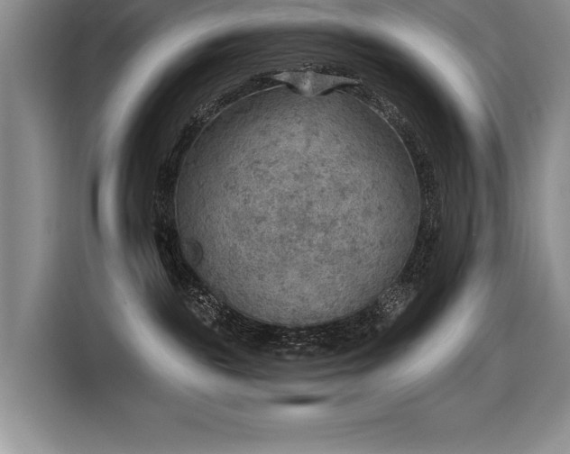 X0000116550189200912101422