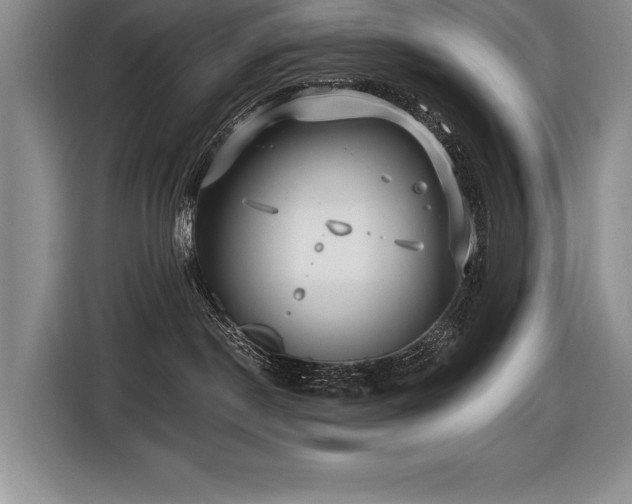 X0000116550190200912101422