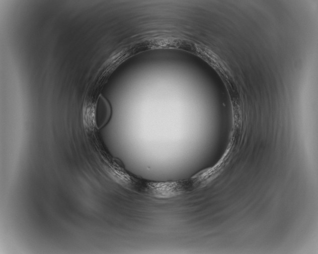 X0000116550191200912101422