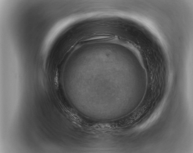 X0000116550194200912101421