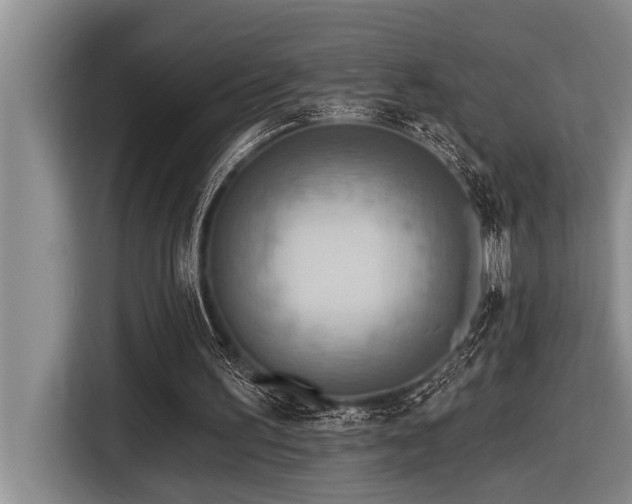 X0000116550195200912101421