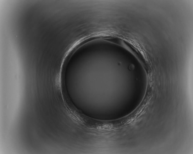 X0000116550196200912101421