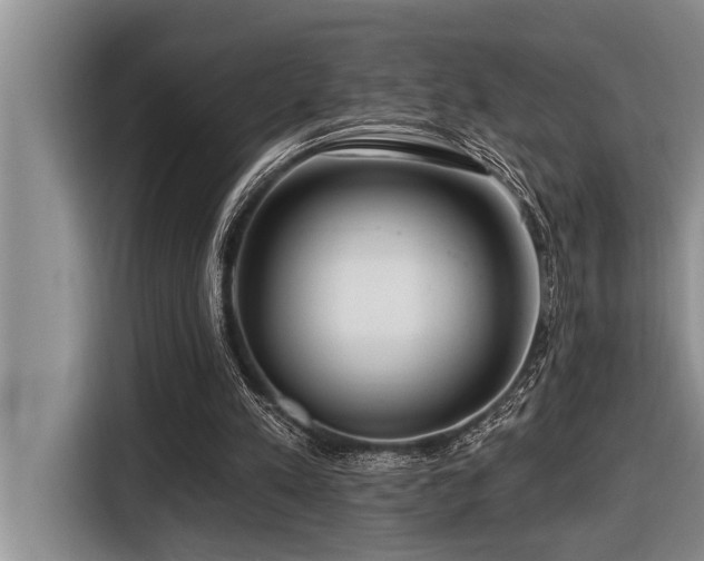 X0000116550197200912101421