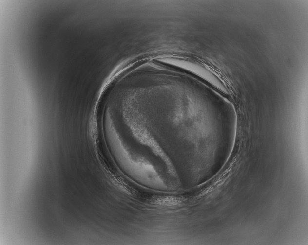 X0000116550198200912101421