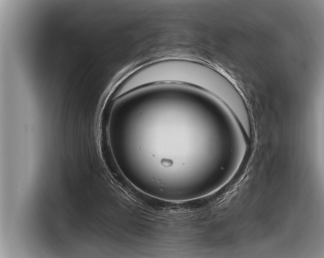 X0000116550199200912101421