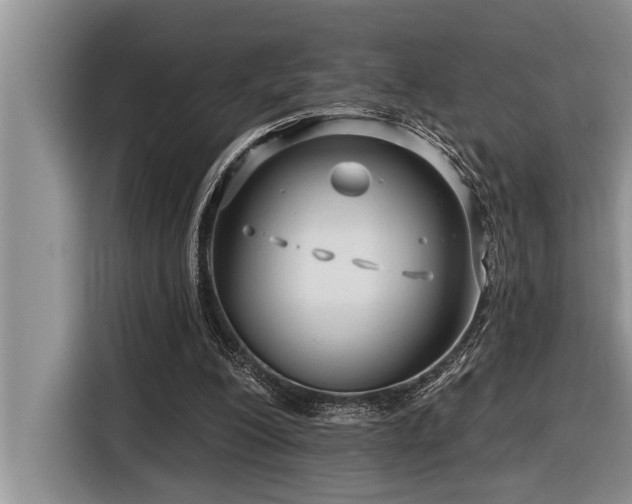 X0000116550200200912101421