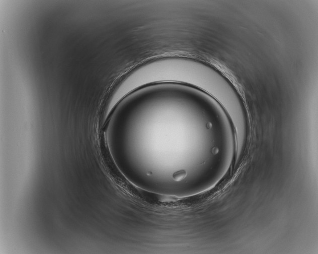 X0000116550201200912101421