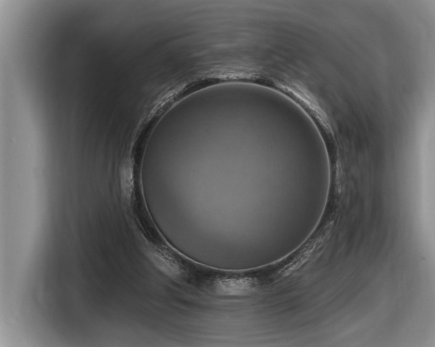 X0000116550202200912101421