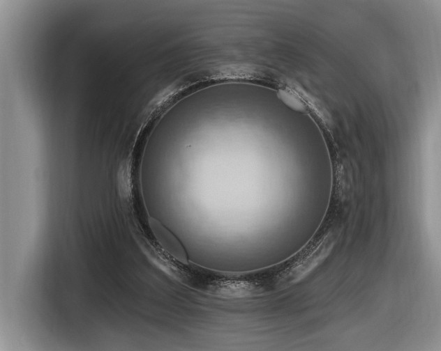 X0000116550203200912101421