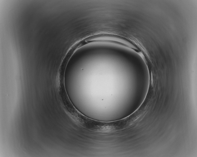 X0000116550204200912101421