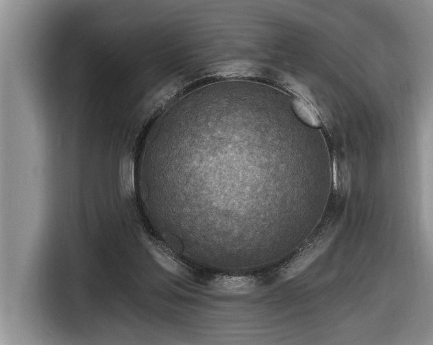 X0000116550205200912101421