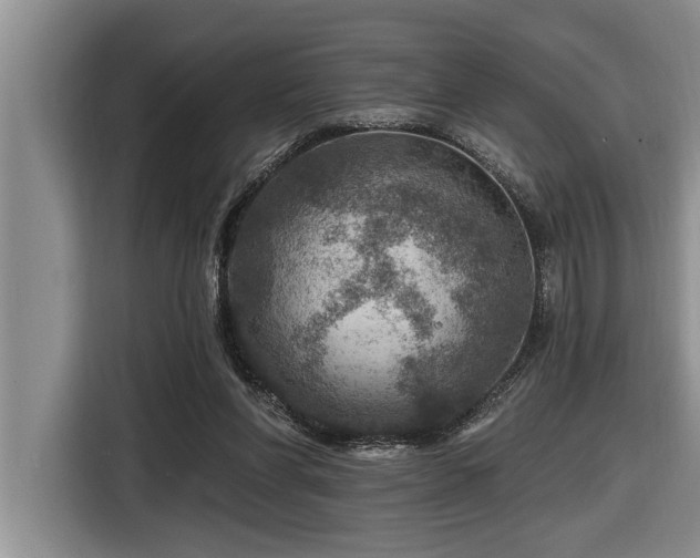 X0000116550206200912101421