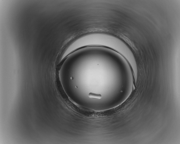 X0000116550207200912101421