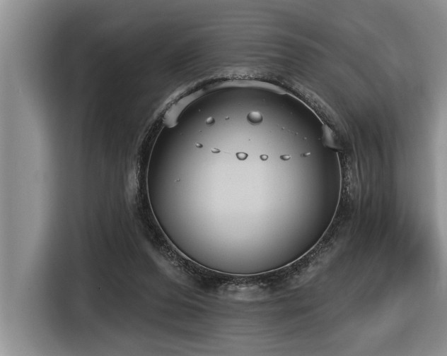 X0000116550208200912101421