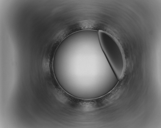 X0000116550209200912101421