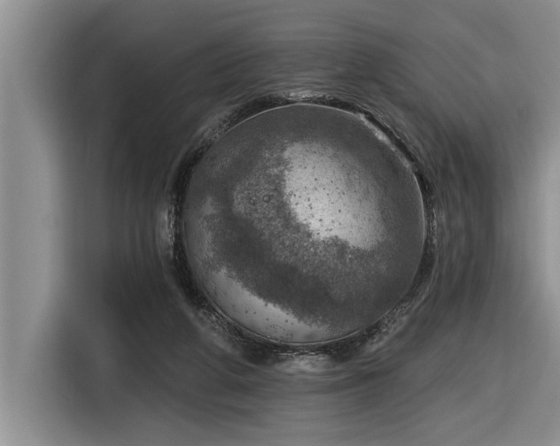 X0000116550210200912101421