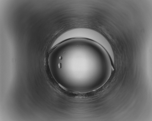 X0000116550211200912101421