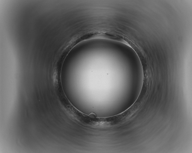 X0000116550212200912101421