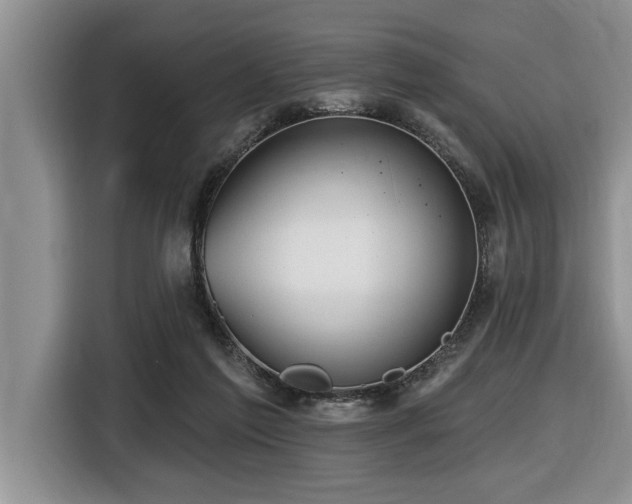 X0000116550213200912101421