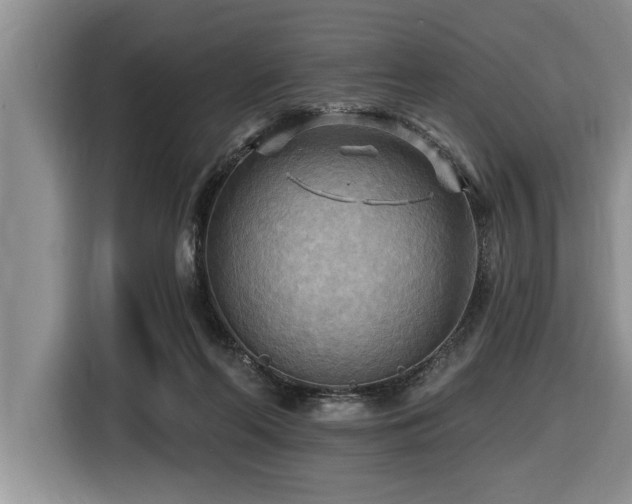 X0000116550214200912101421