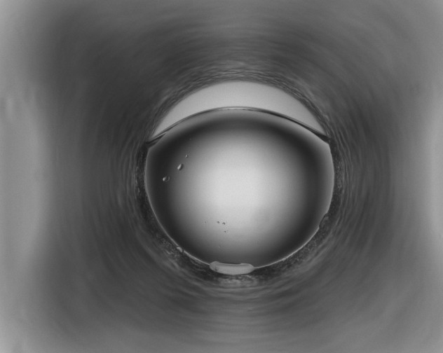 X0000116550215200912101421